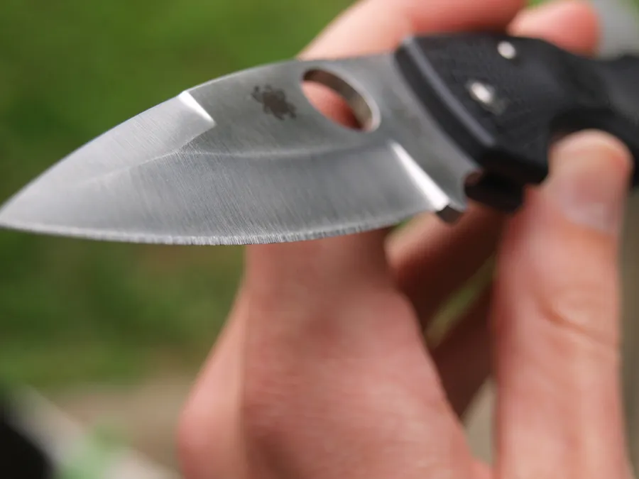 Spyderco Native 5 Lightweight FRN folding knife