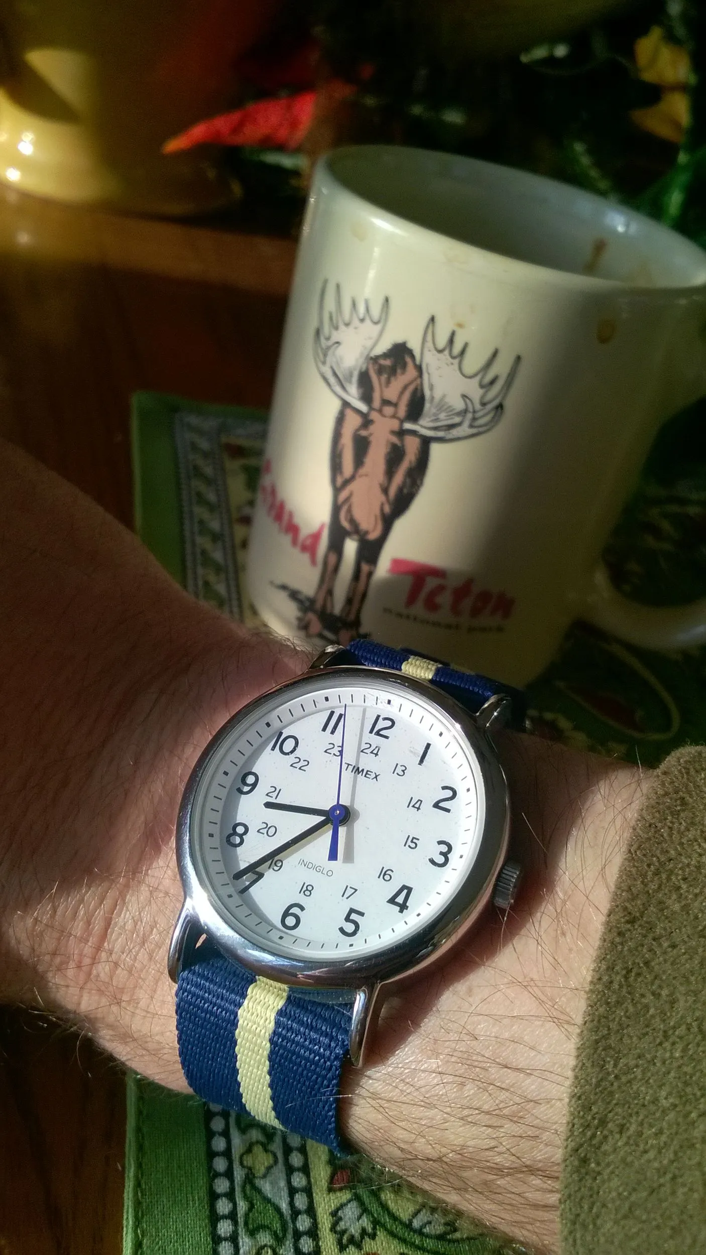 Timex Weekender watch