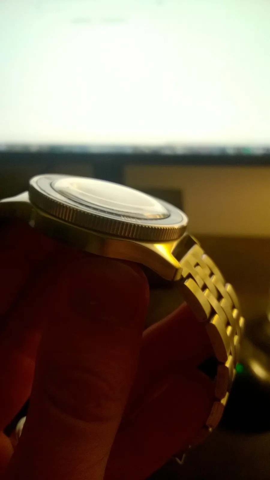 Vostok Amphibia side profile showing the crown