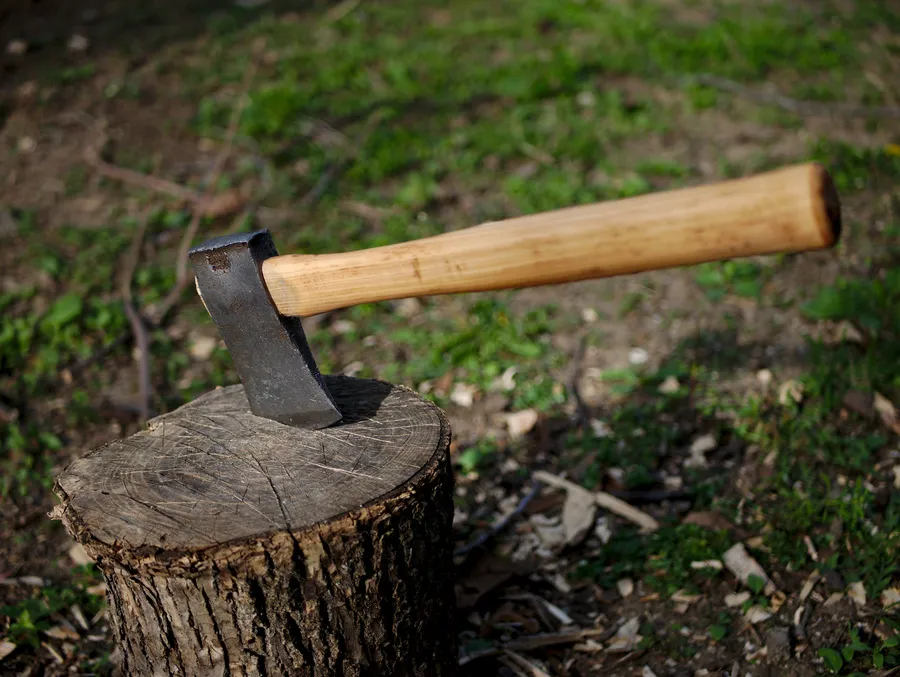 Restored hatchet with a fresh edge put on with the wet grinder